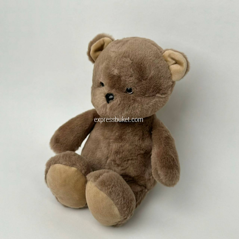 Медвежонок