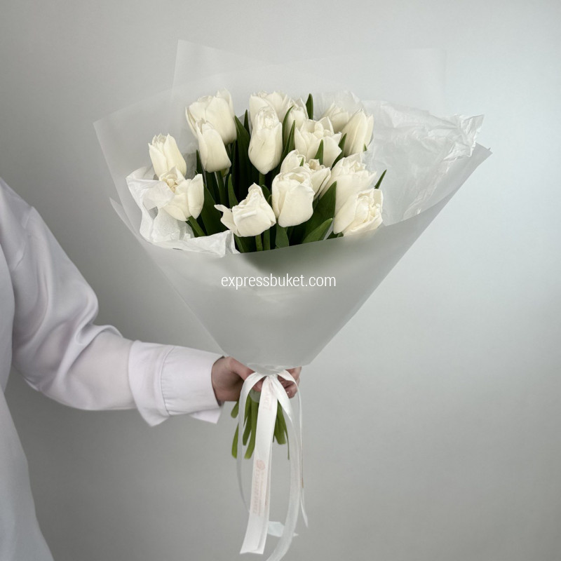 Эстетика тюльпанов