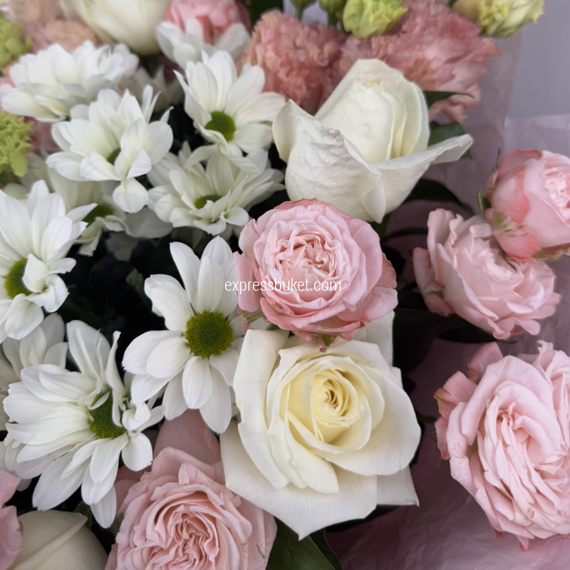 Бабочки утра