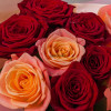 Микс роз персиковые+красные 9шт