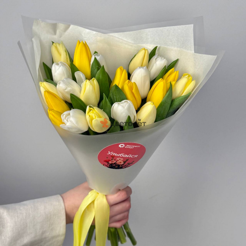 Тюльпаны бело-желтые 21 штука
