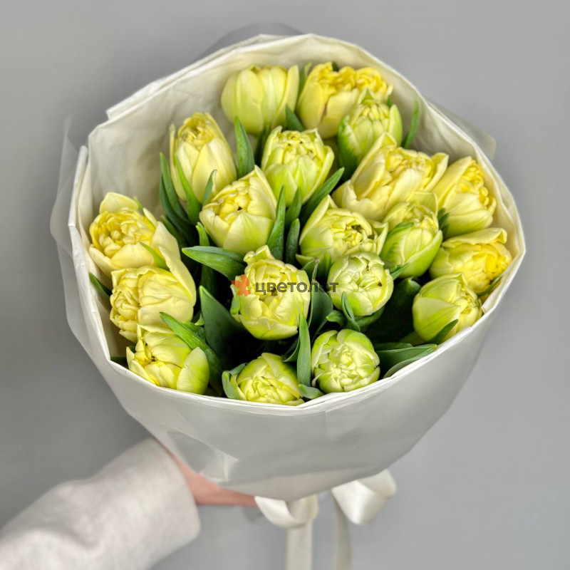 Лимонные пионовидные тюльпаны, 19 шт