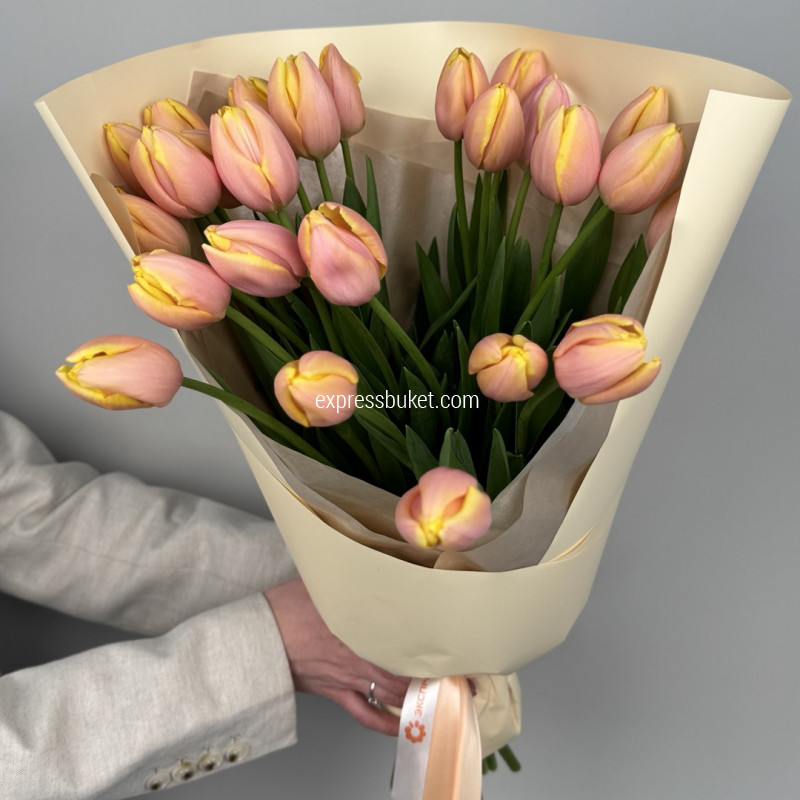 Тюльпаномания