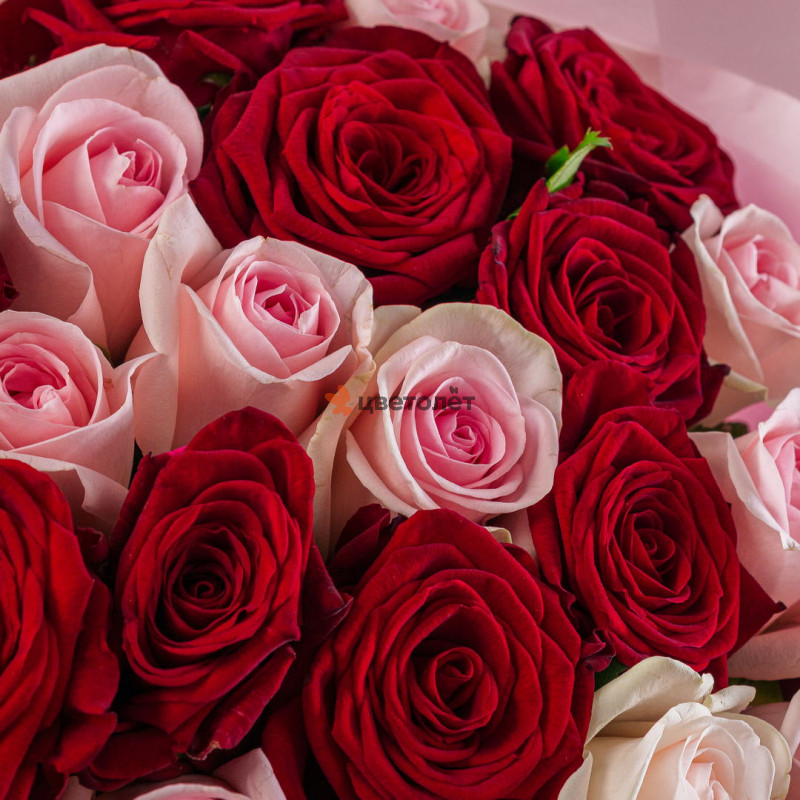 Микс роз розовые+красные