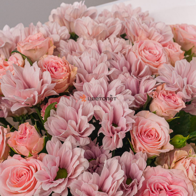 Ласковое утро