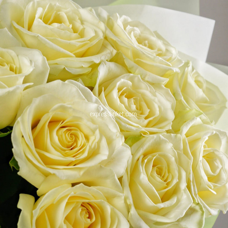 Букет из 9 роз Аваланж 