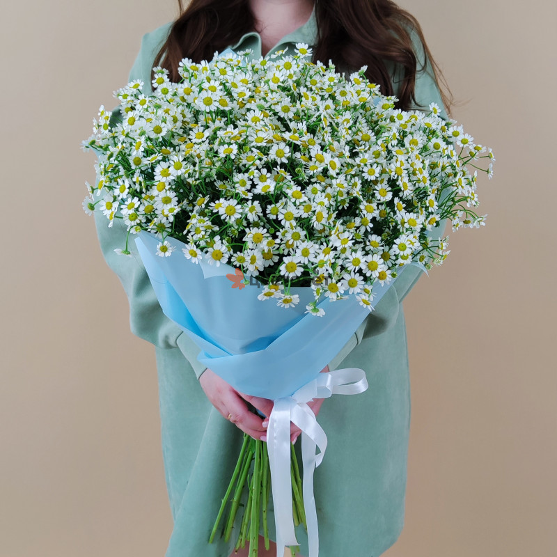 Букет полевые Ромашки